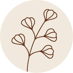 ��לוגו אייקון שמנת�